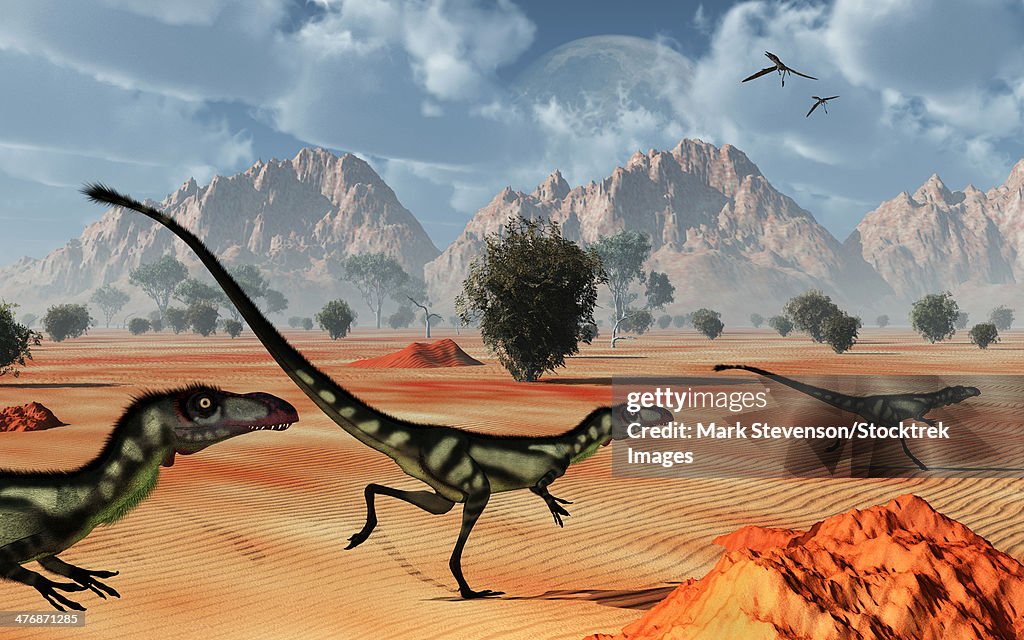 A pack of dilong tyrannosaurid dinosaurs hunting.