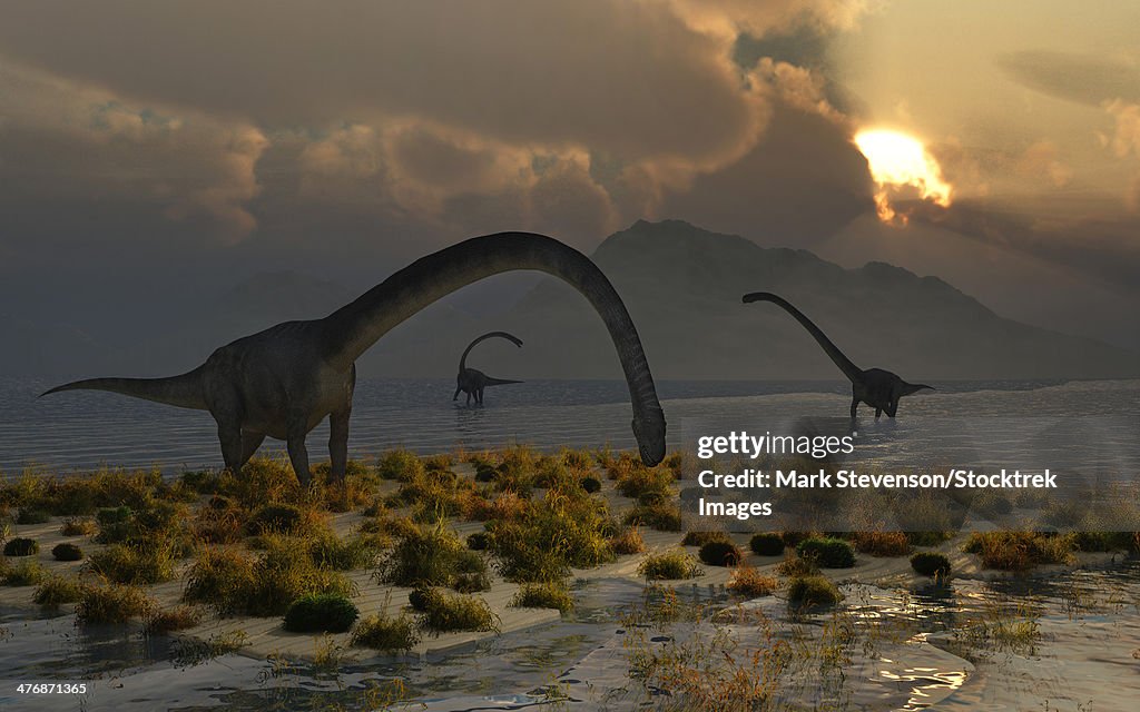 Omysaurus A Herd Of Omeisaurus Sauropod Dinosaurs From The Jurassic Period High ...