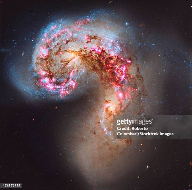 the antennae galaxies, also known as ngc 4038/ngc 4039, are a pair of interacting galaxies in the constellation corvus. - 球状星団 ストックフォトと画像