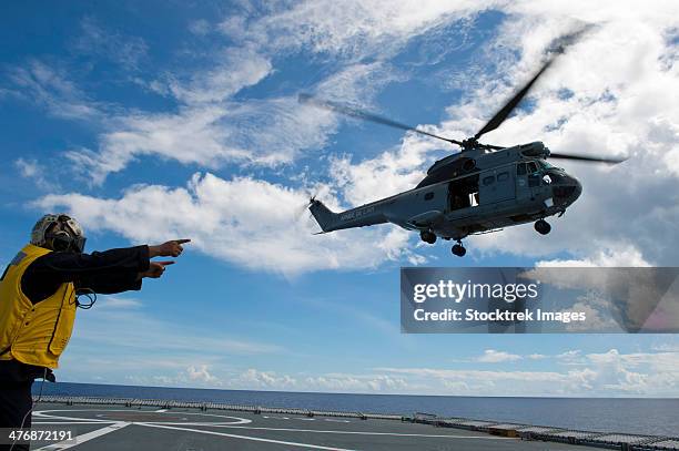 a french armee de terre sa 380 puma helicopter taking off. - franse krijgsmacht stockfoto's en -beelden