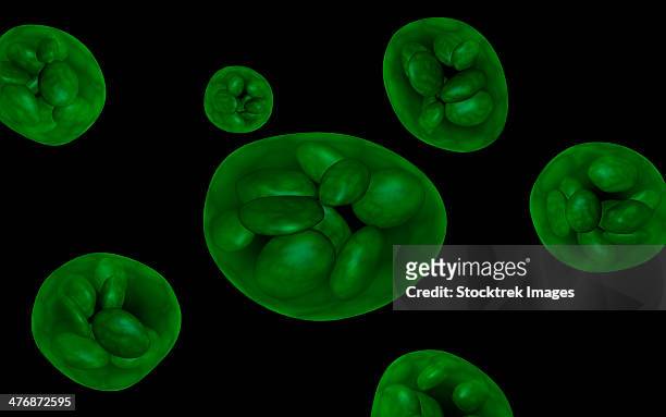 conceptual image of chloroplast. - chlorophyll stock illustrations