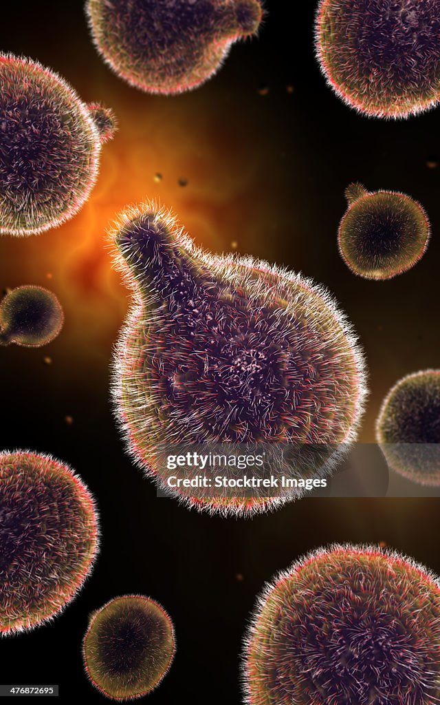 Conceptual Image Of Plasmodium Causing Malaria StockIllustration