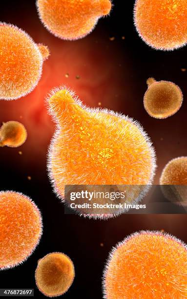 conceptual image of plasmodium causing malaria. - malaria stock illustrations