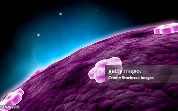 conceptual image of cell nucleus. - nucleolus stock illustrations