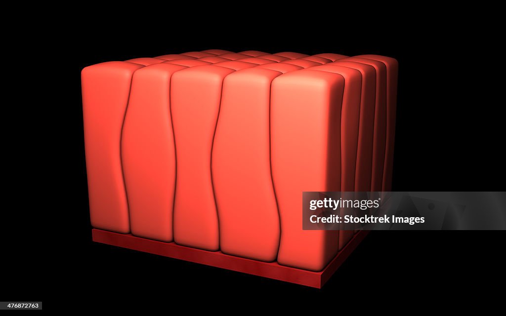 Conceptual image of simple columnar epithelium.