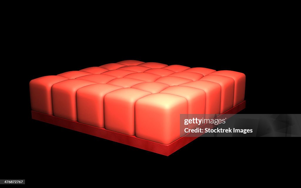 Conceptual image of simple cuboidal epithelia.