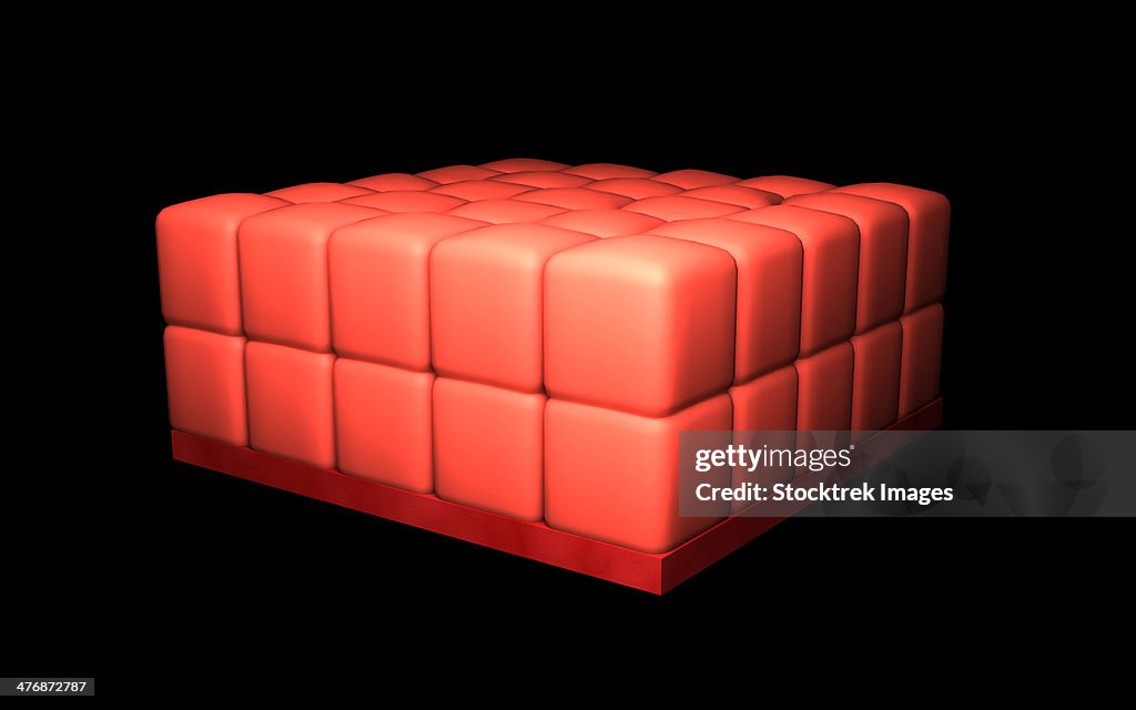 Conceptual image of stratified cuboidal epithelium.