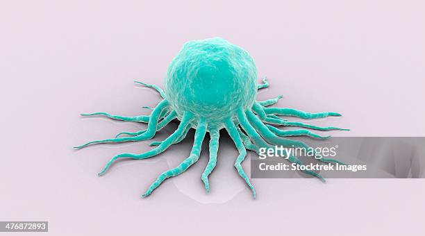 conceptual image of cancer virus. - phagocytosis stock illustrations