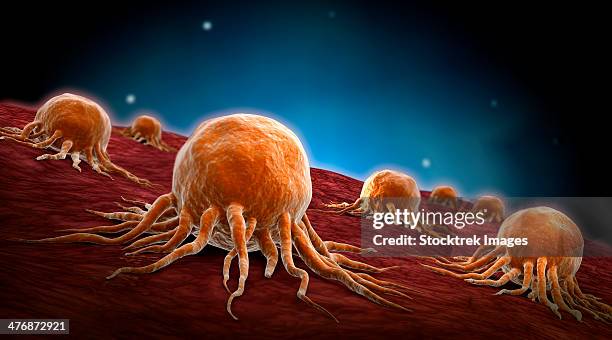 conceptual image of cancer virus. - macrophage stock illustrations