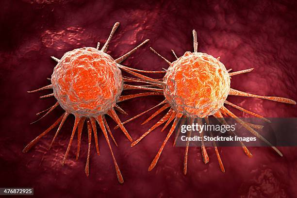 conceptual image of cancer virus. - osteocyte stock illustrations