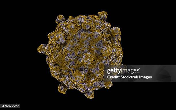 conceptual image of coxsackievirus. - enterovirus stock illustrations