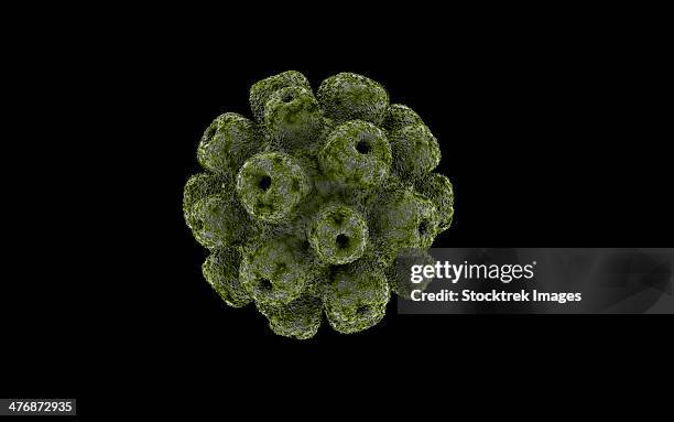 conceptual image of polyomavirus. - protein balls stock illustrations