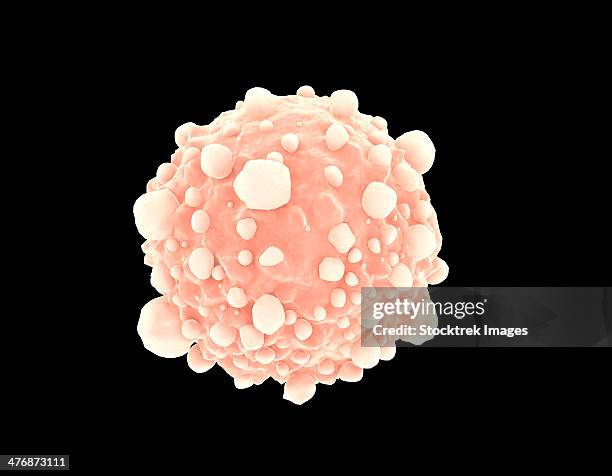 microscopic view of pancreatic cancer cell. - genetic mutation stock illustrations