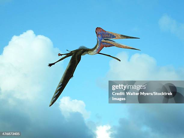 zhejiangopterus, a genus of azhdarchid pterosaur. - pterosaur stock illustrations