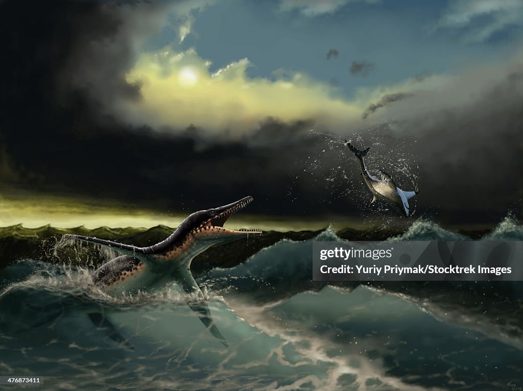 Pliosaurus irgisensis attacking a shark.