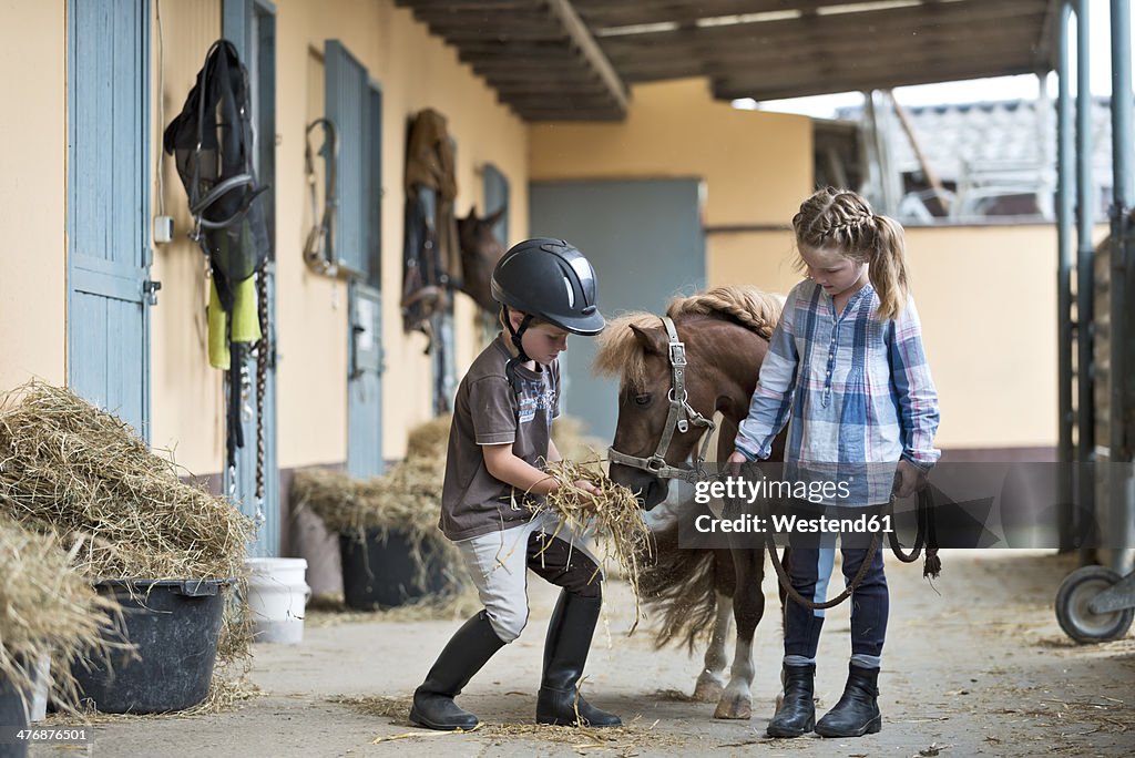 Germany, NRW, Korchenbroich, Boy and Girl at riding stable with mini shetland pony