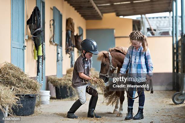 germany, nrw, korchenbroich, boy and girl at riding stable with mini shetland pony - pony stock pictures, royalty-free photos & images