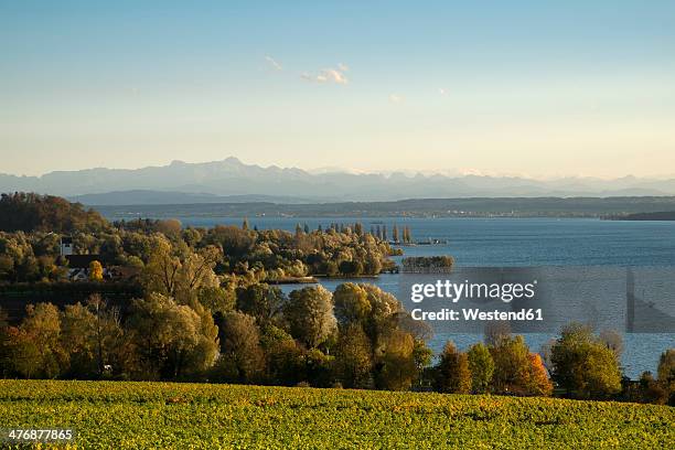 germany, baden-wuerttemberg, lake constance district, lake constance and swiss alps - bodensee stock-fotos und bilder