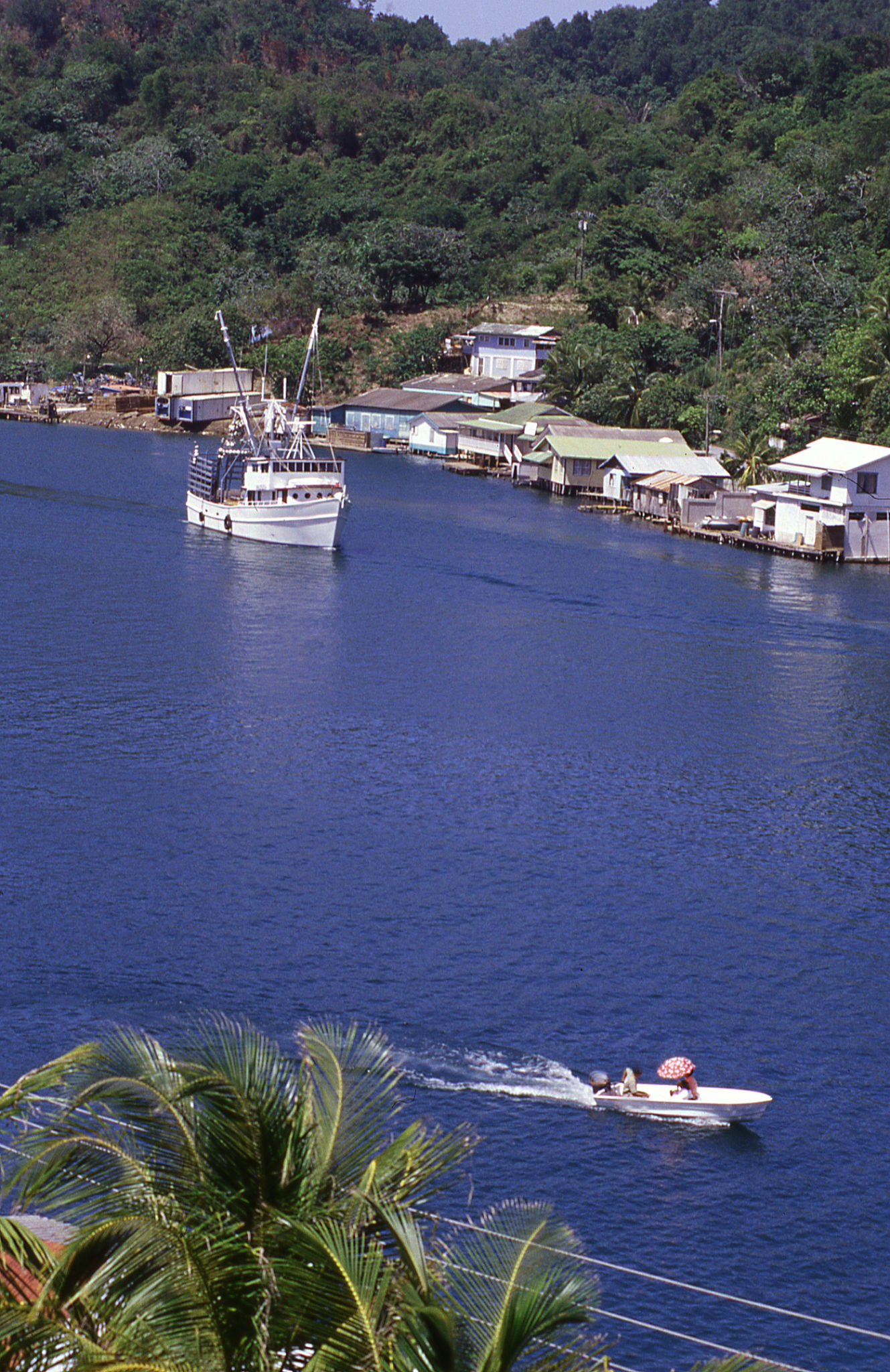 Jonesville landscape