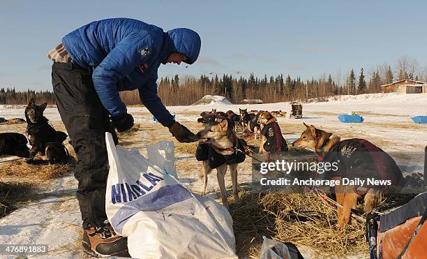 Christian Turner snacks his dogs at the Nikolai checkpoint during the 2014 Iditarod Trail Sled Dog Race on Wednesday, March 5 in Alaska.