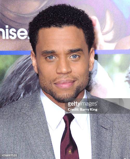 Actor Michael Ealy attends the Pan African Film & Arts Festival premiere of 'About Last Night' on February 11, 2014 at ArcLight Cinemas Cinerama Dome...