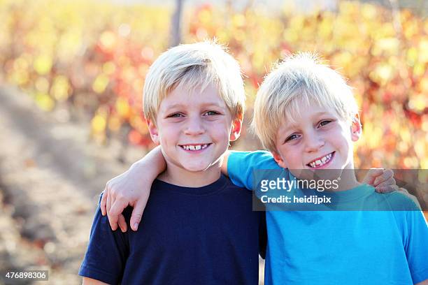 twins - fraternal twin stock pictures, royalty-free photos & images