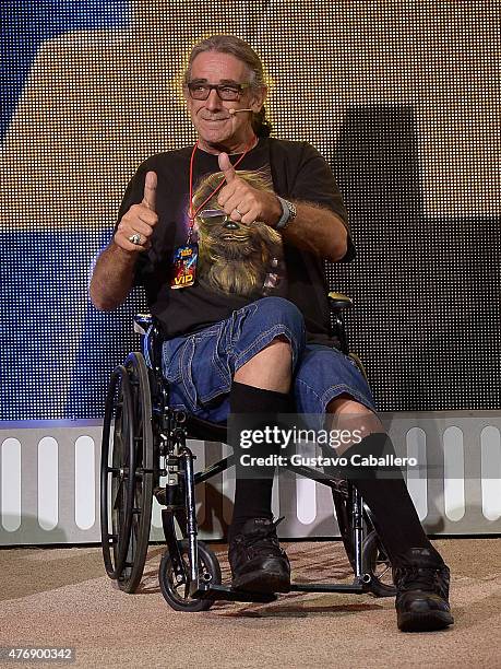 Peter Mayhew participates in Star Wars Weekend at Walt Disney World on June 12, 2015 in Orlando, Florida.