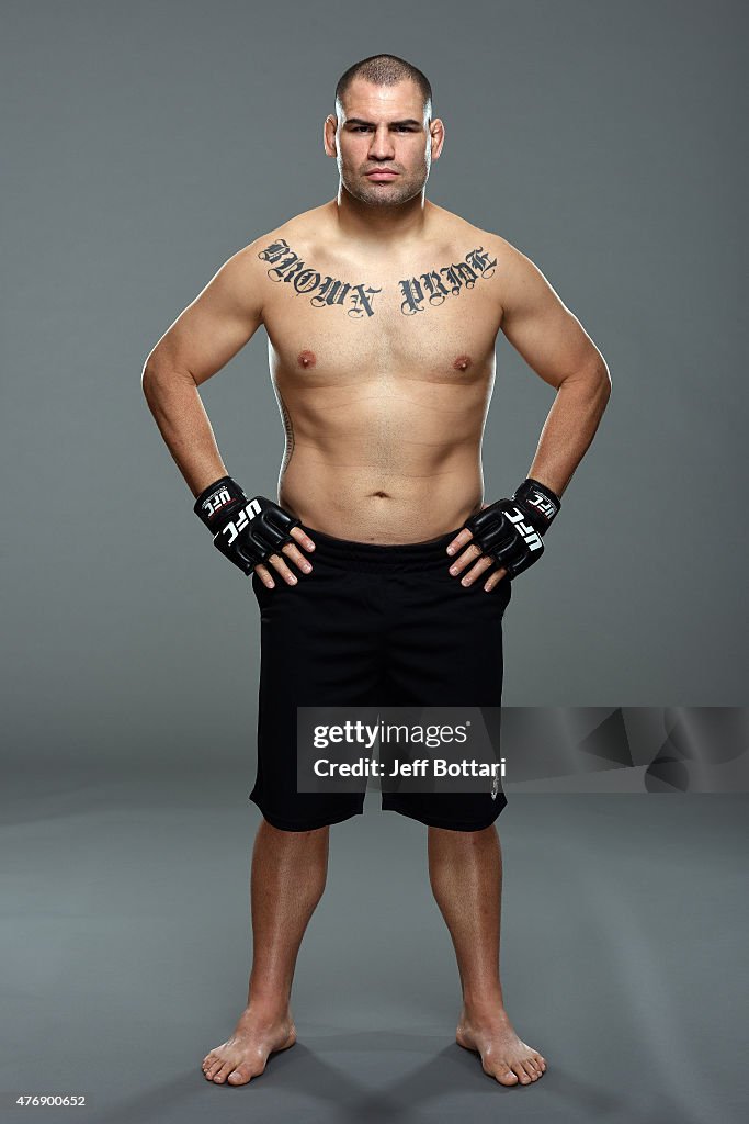 UFC Fighter Portraits