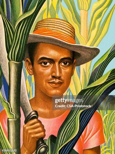 man harvesting sugar cane - sugar cane stock illustrations