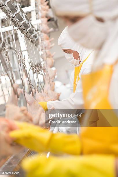 people working at a chicken factory - production line stock pictures, royalty-free photos & images
