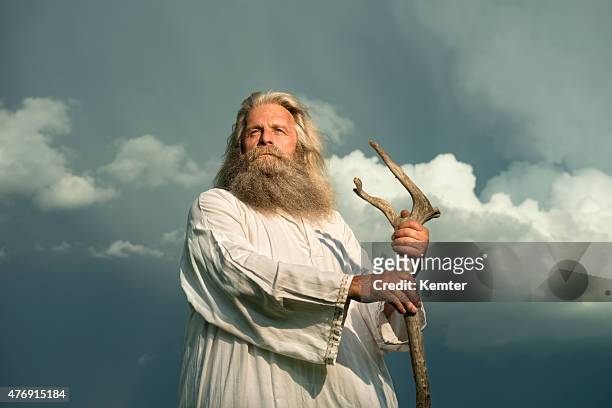 long-haired prophet standing in front of dramatic sky - old man with beard 個照片及圖片檔
