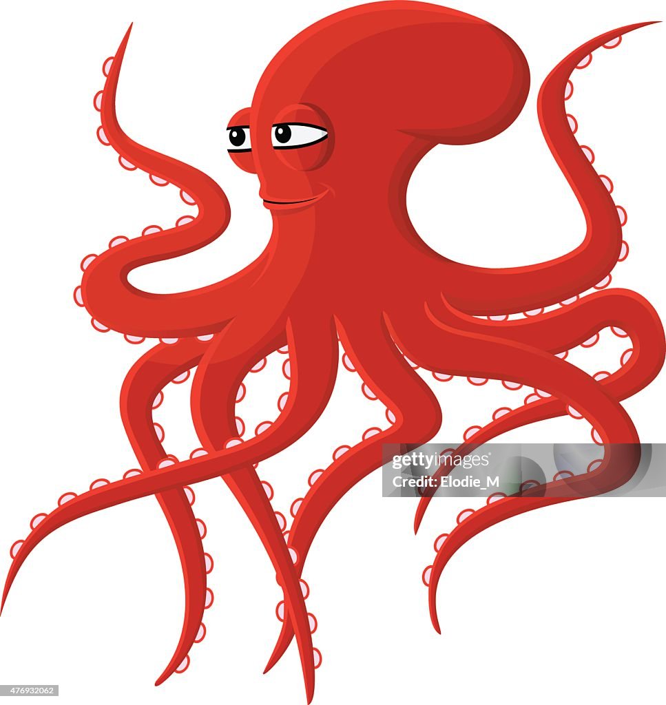 Red octopus / Red octopus