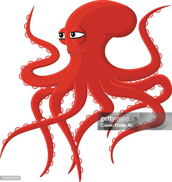 red octopus / red octopus - squid stock illustrations