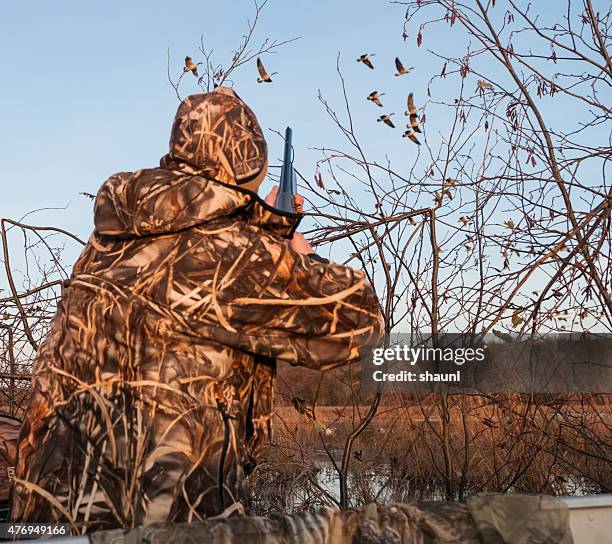 prenant objectif de bernaches du canada - water bird photos et images de collection