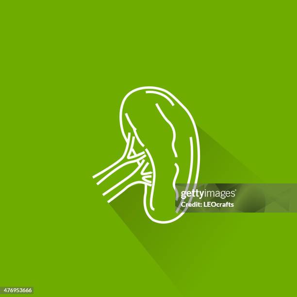ilustraciones, imágenes clip art, dibujos animados e iconos de stock de icono del bazo - bilirrubina