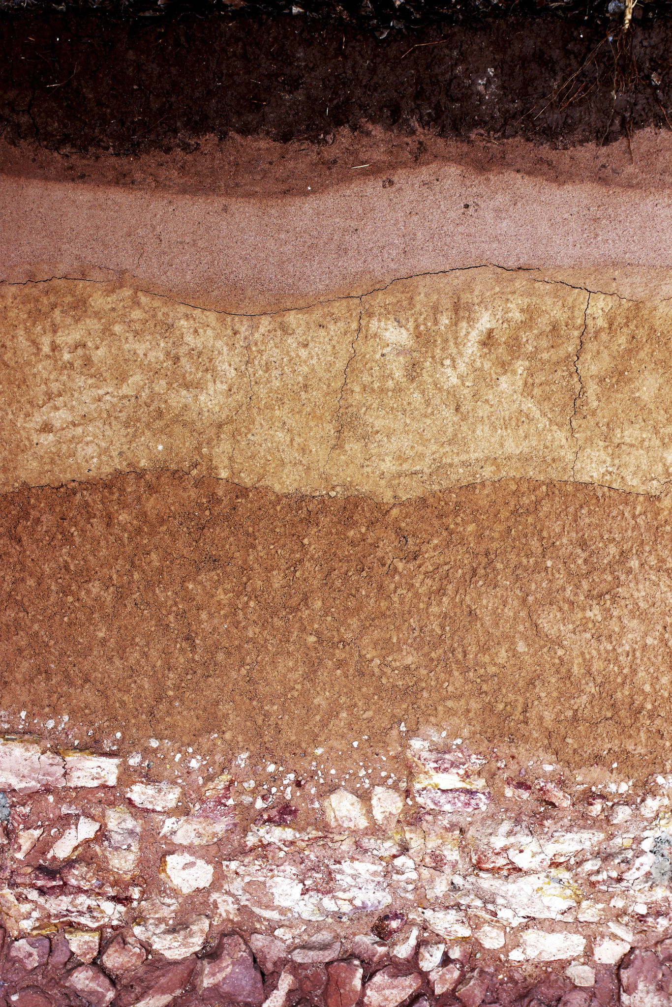 soil layering