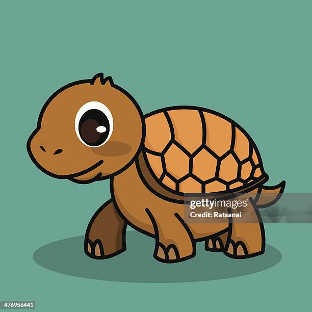 Turtle Shell Toon Cartoon Turtle Shell Brown