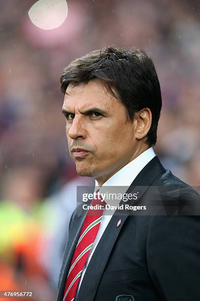 Chris Coleman the Wales manager looks on during the UEFA EURO 2016 qualifying match between Wales and Belgium at the Cardiff City Stadium on June 12,...