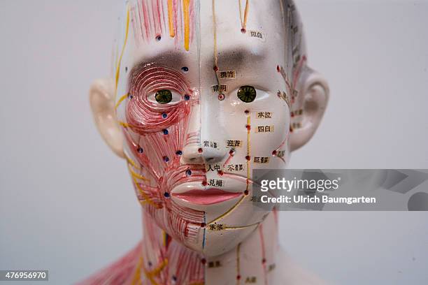 Portrait of a human figure, male , with acupuncture markings and the marking of individual points with Chinese characters.