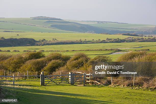 valley of the river cuckmere, east sussex, england - east sussex stock-fotos und bilder