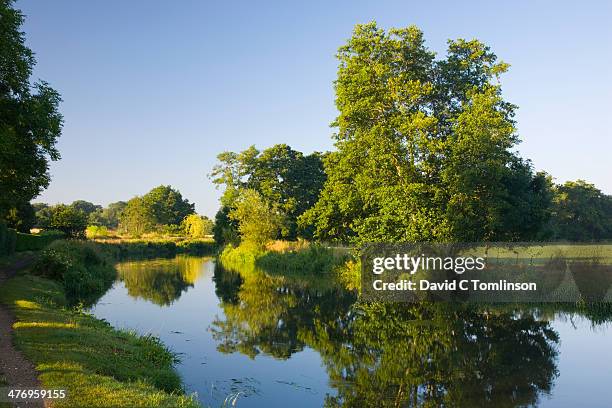 the river wey navigation, send, surrey, england - river stock pictures, royalty-free photos & images
