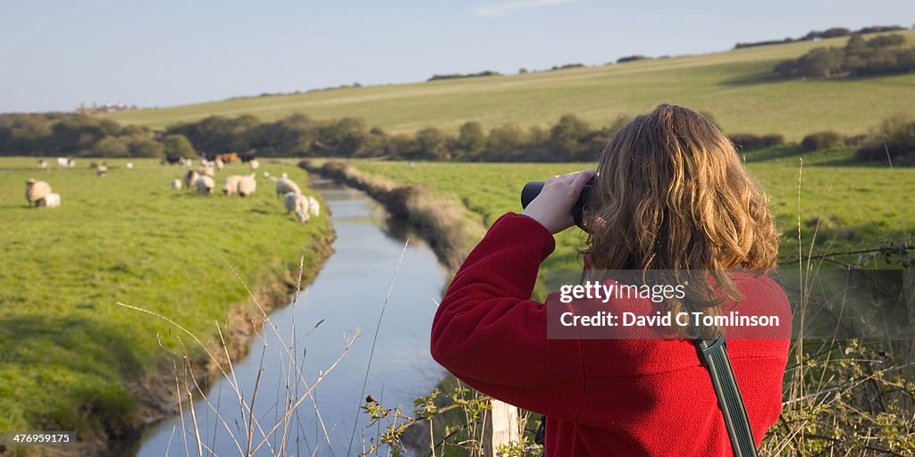 Birdwatching, Cuckmere Haven, East Sussex, England