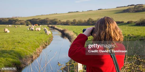 birdwatching, cuckmere haven, east sussex, england - south downs national park stock pictures, royalty-free photos & images