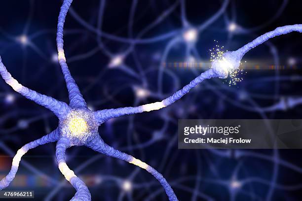 bildbanksillustrationer, clip art samt tecknat material och ikoner med brain neurons with active synapse - nervcell
