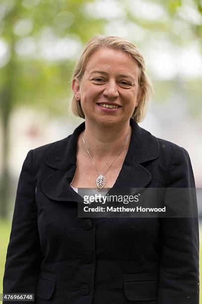 Leader of the Green Party Natalie Bennett attends a march from the Guildhall building to Castle Square on June 13, 2015 in Swansea, Wales. A number...