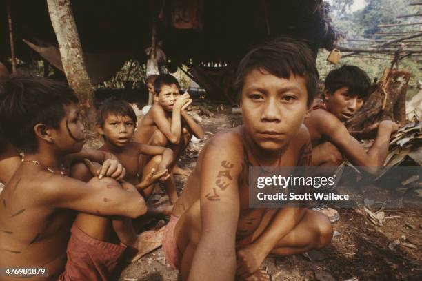 Boys of the Yanomami people at a village in the Amazon rainforest of Venezuela, 2001.