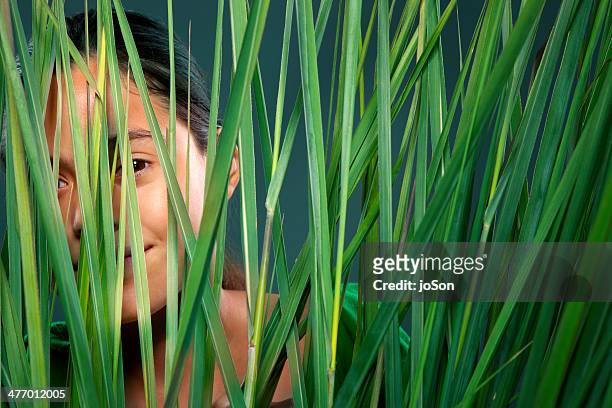 teenager looking through tall lemongrass, smile - lemongrass stockfoto's en -beelden