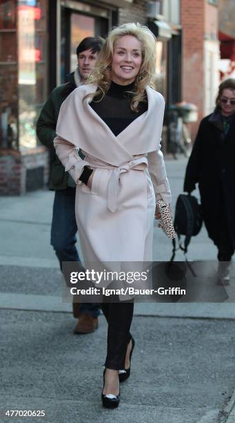 Sharon Stone is seen at the movie set of Fading Gigolo on November 26, 2012 in New York City.