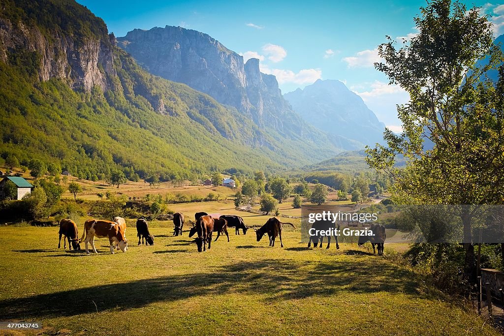 On the way to Albania