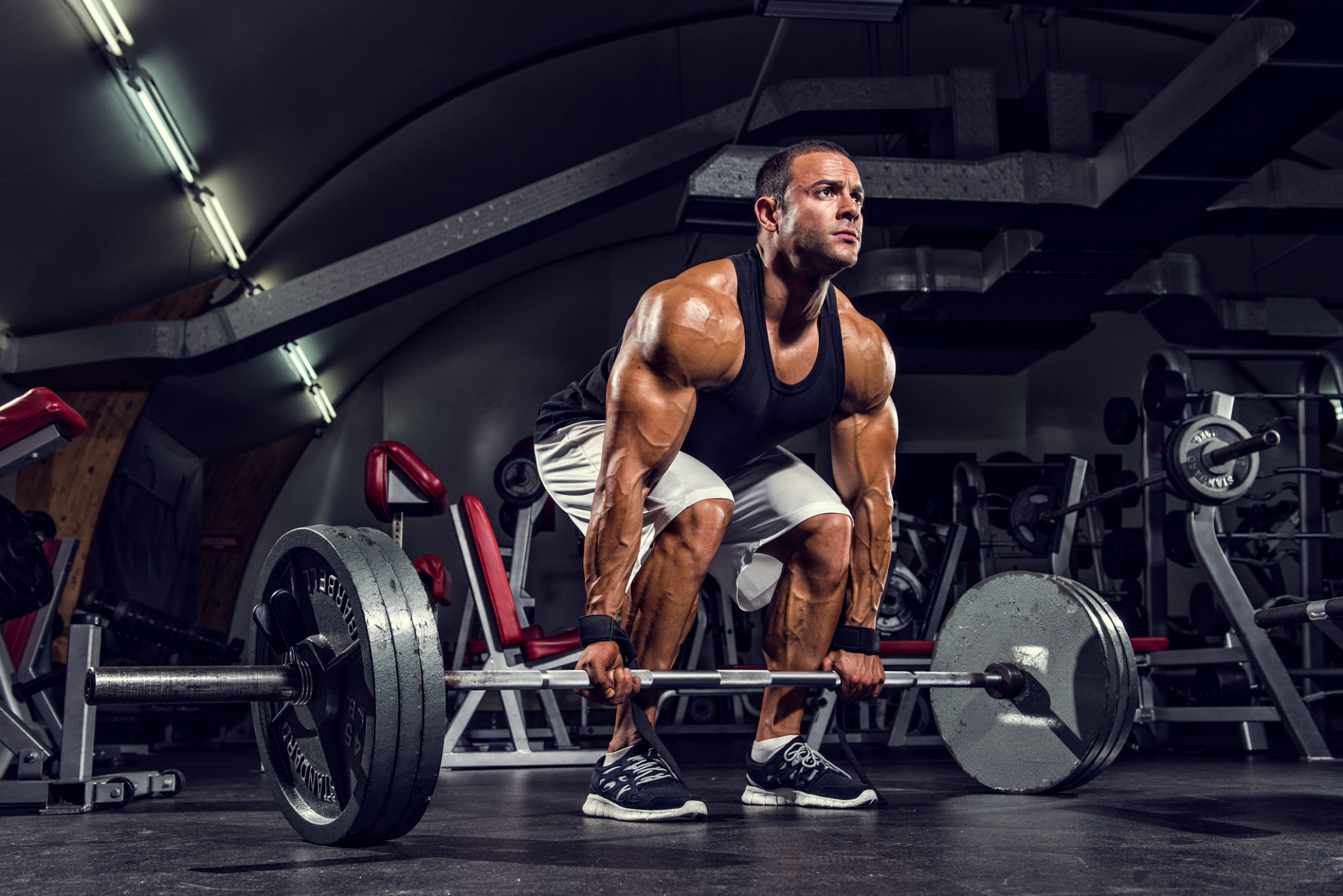 Dead Lift Dead Lift